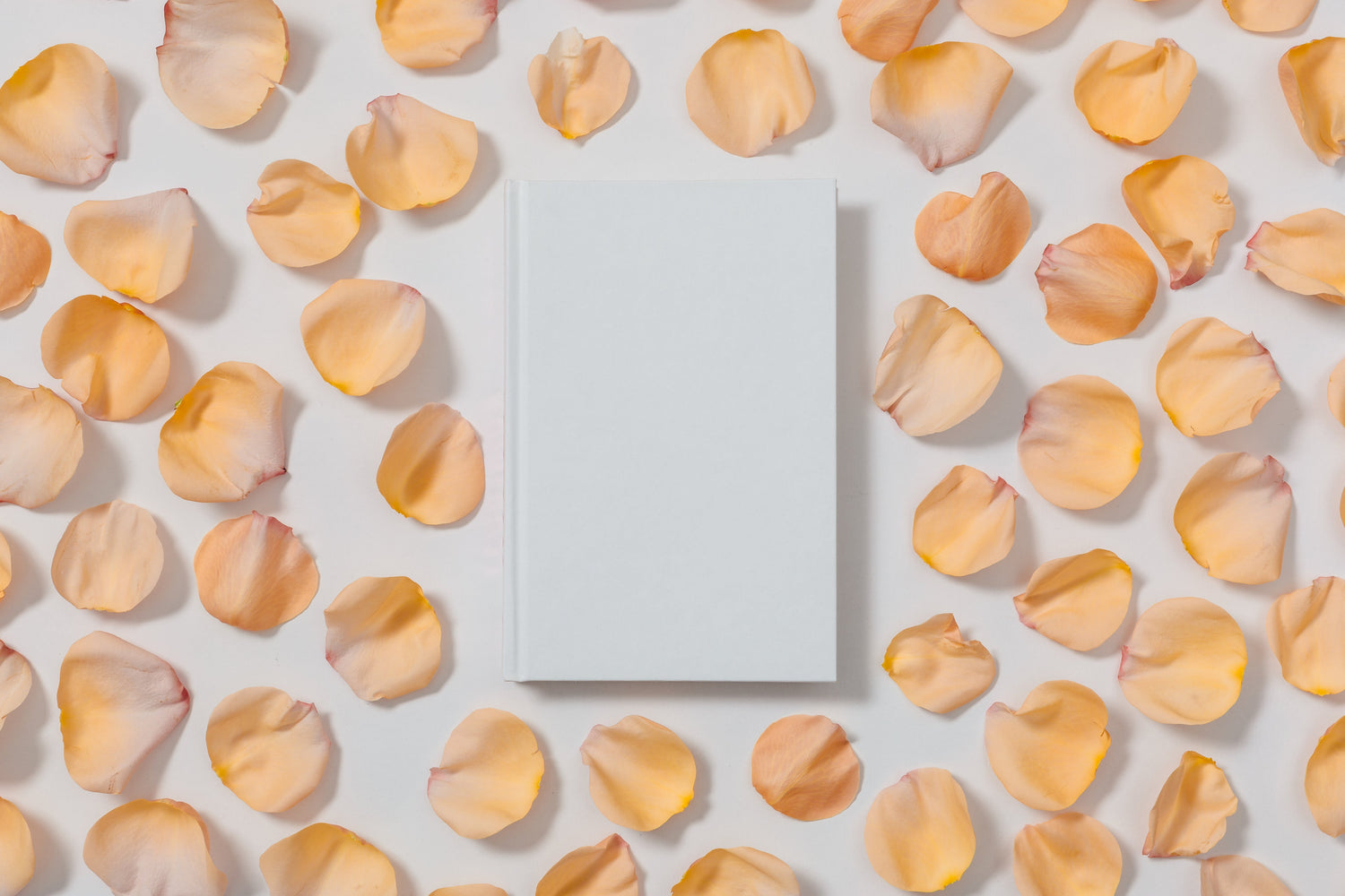 White Book with Pink Rose Petals around it 